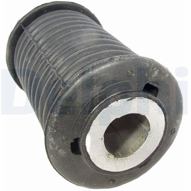 DELPHI TD859W Mounting, leaf spring