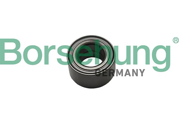 BORSEHUNG B15622 Wheel bearing