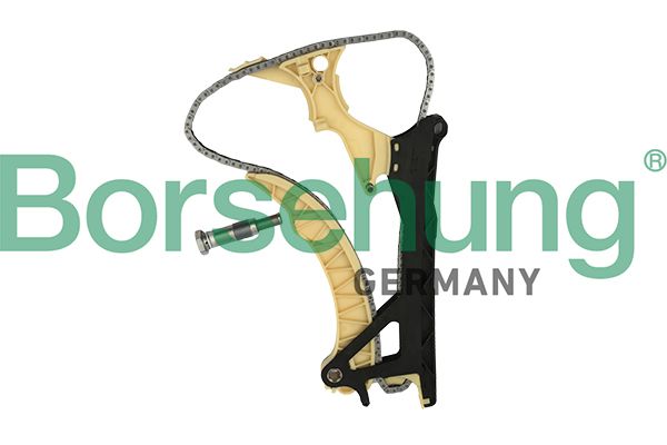 BORSEHUNG B18855 Timing chain kit