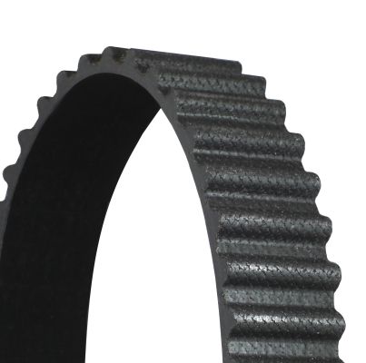 Timing Belt-1