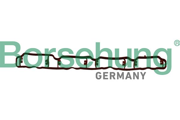 BORSEHUNG B19250 Gasket, intake manifold