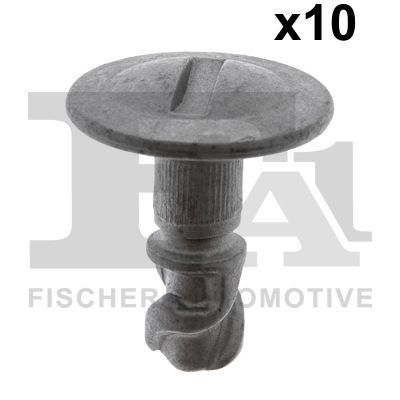 Clip, trim/protection strip