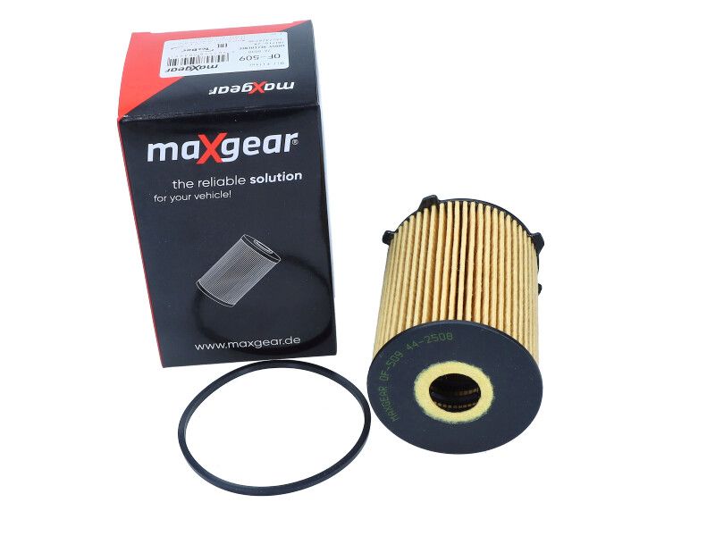 Oil Filter-2