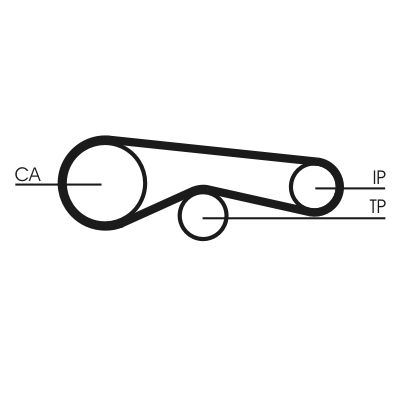 Timing Belt-1
