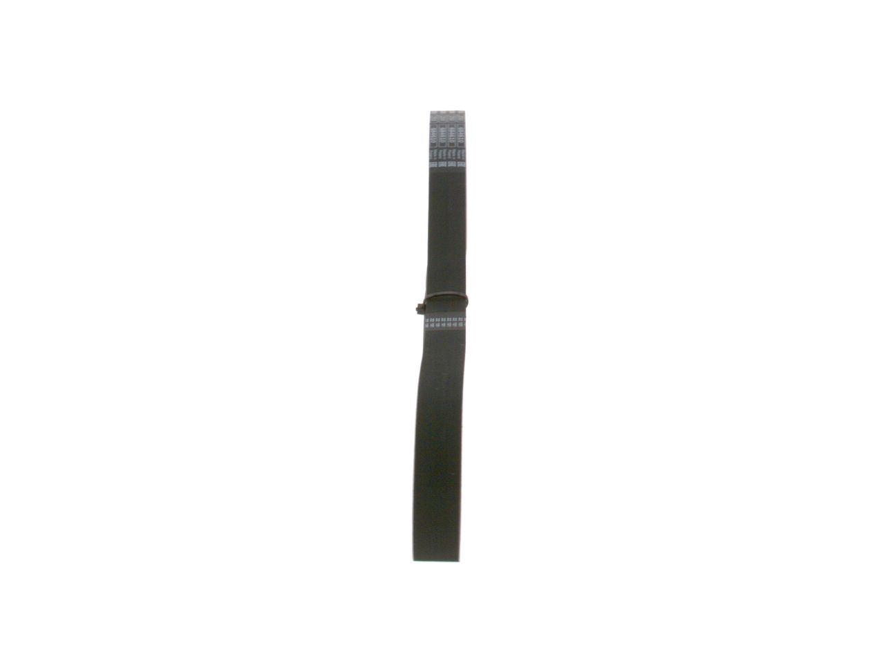 V-ribbed Belt-1
