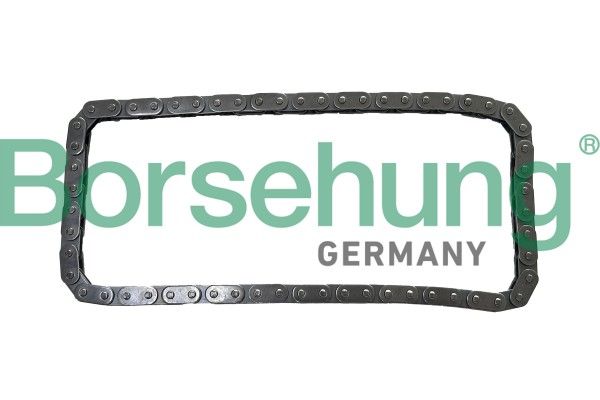 BORSEHUNG B13345 Timing chain