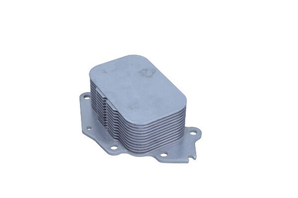MAXGEAR 14-0037 Oil cooler, engine oil
