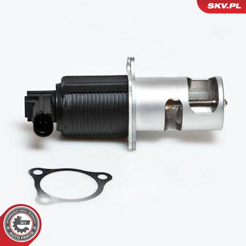 EGR Valve-2