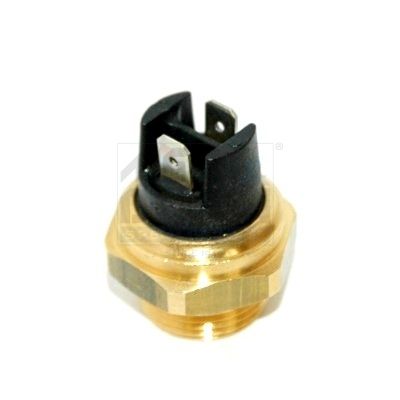 Temperature Switch, radiator fan-main