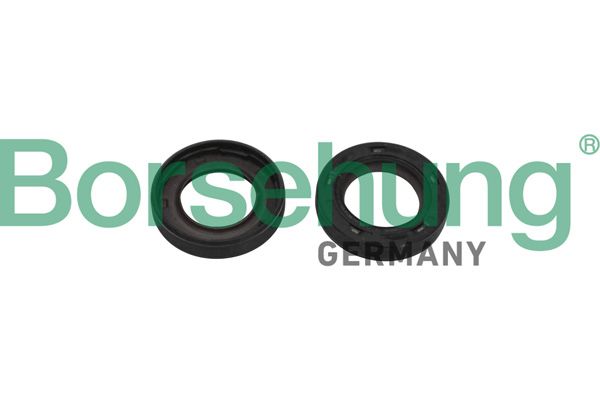 BORSEHUNG B19246 Shaft seal, camshaft
