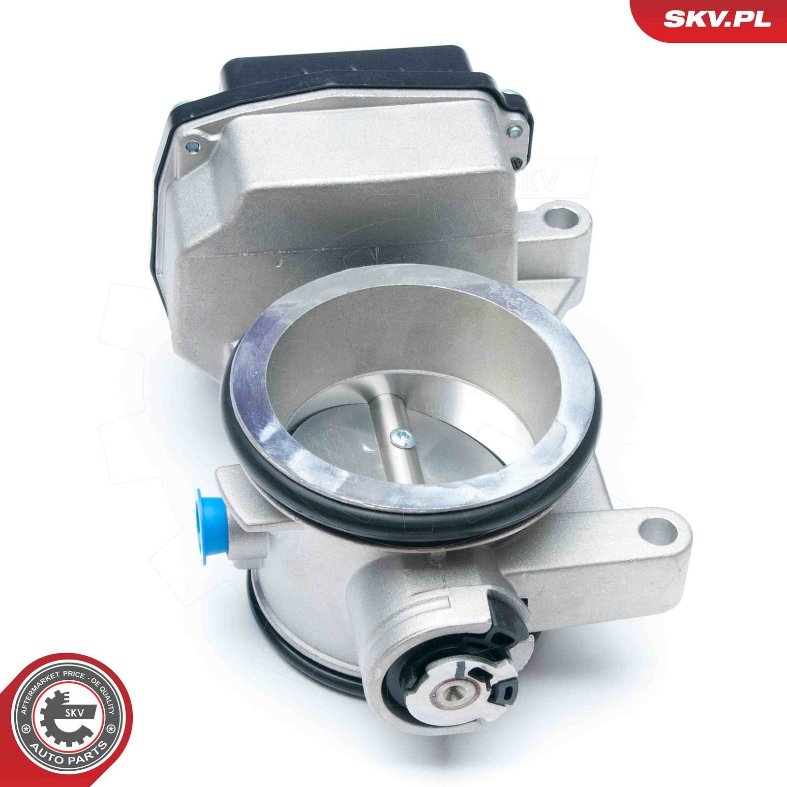 Throttle Body-2