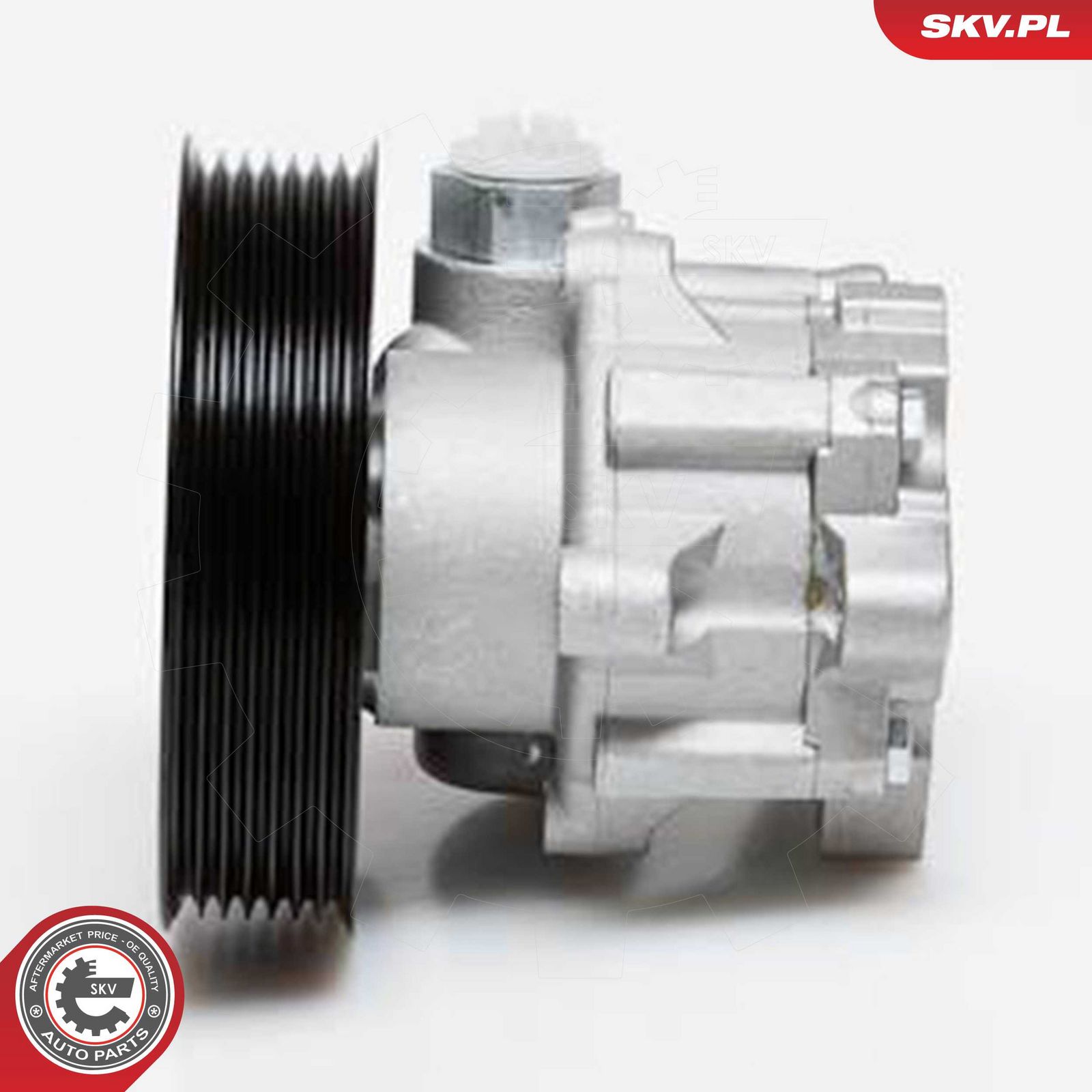 Hydraulic Pump, steering-2
