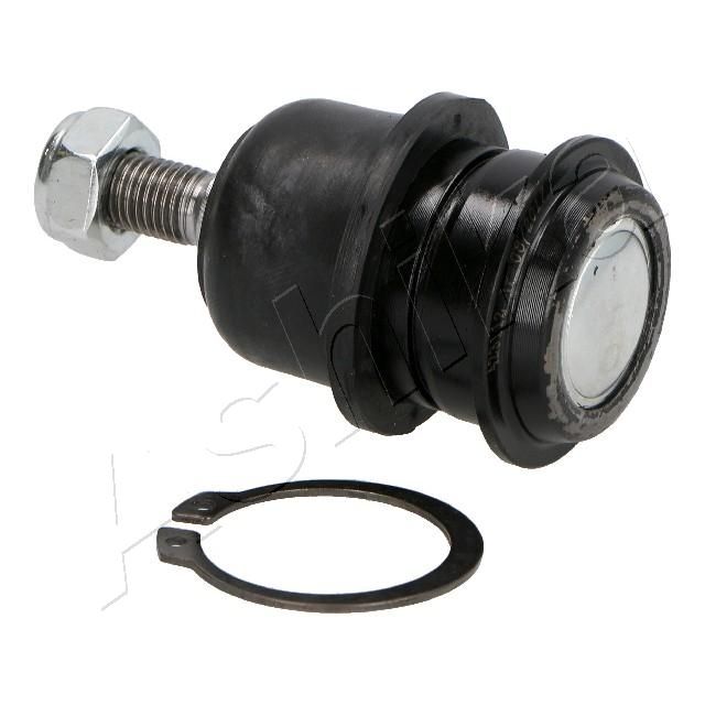 Šarnyras / girgždukas-1