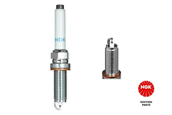 Spark Plug-2