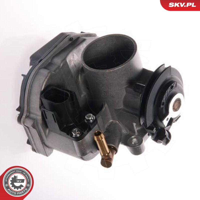 ESEN SKV 12SKV015 Throttle body