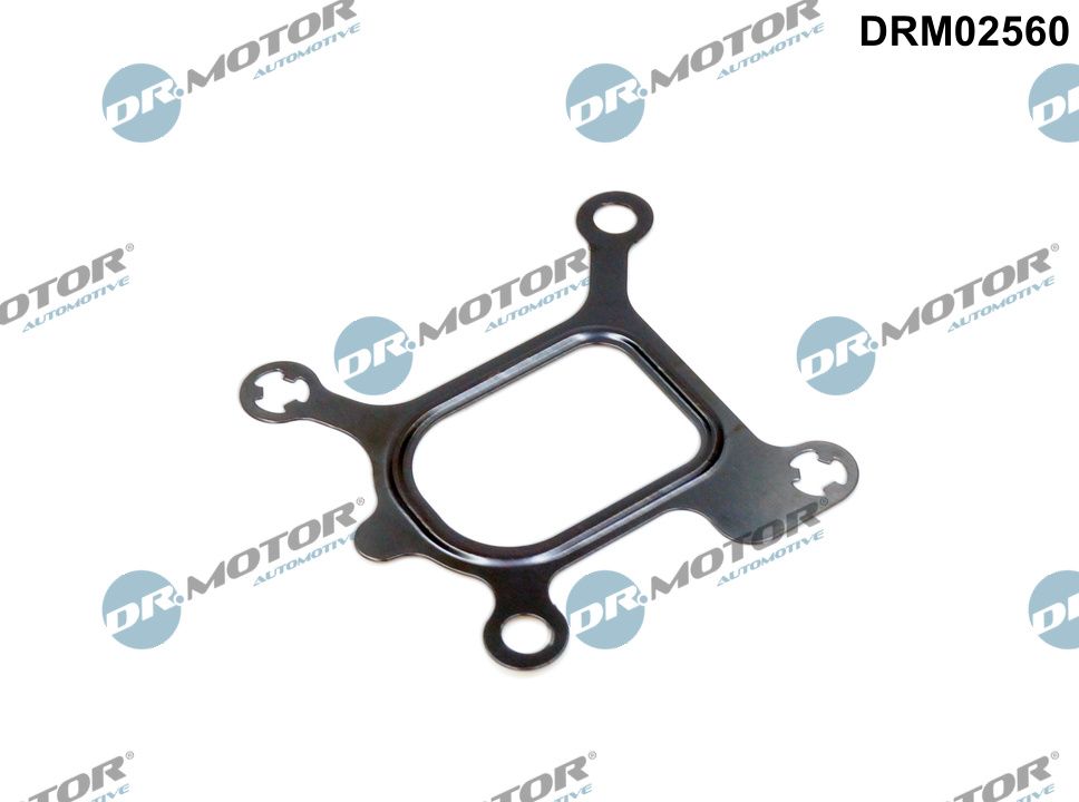 DR.MOTOR AUTOMOTIVE DRM02560 Gasket, coolant flange