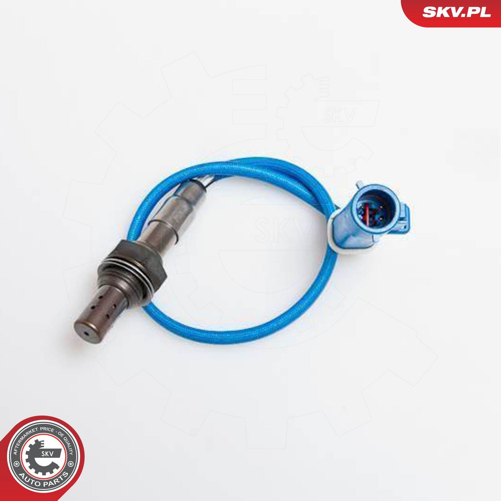 Oxygen Sensor-1