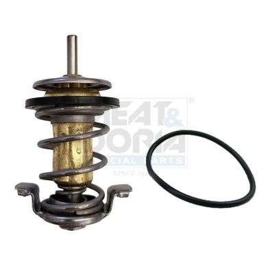 Thermostat, coolant-main