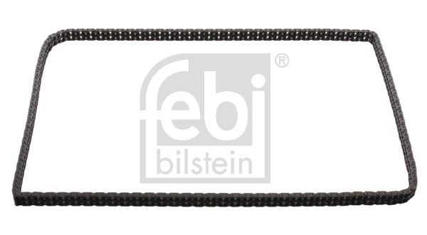 FEBI BILSTEIN 33895 Pavaros grandinė