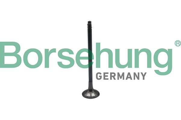 BORSEHUNG B10324 Exhaust valve