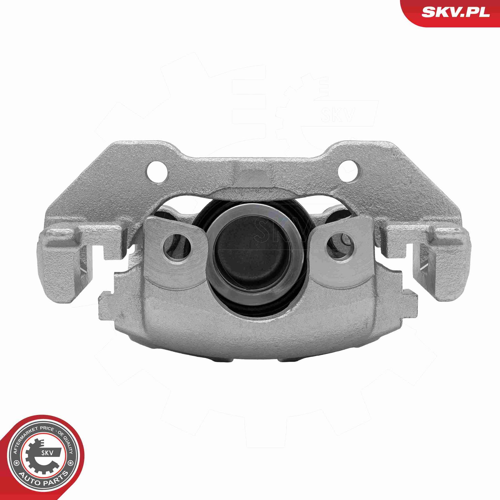 Brake Caliper-5
