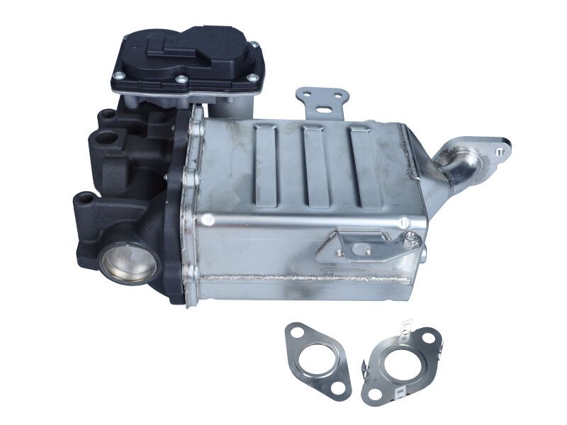 EGR Valve-1