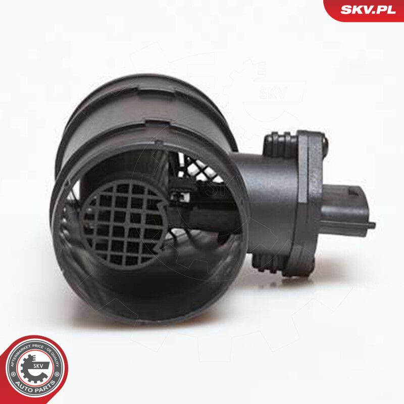 Mass Air Flow Sensor-1