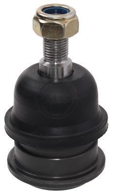 Šarnyras / girgždukas