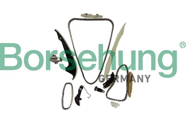 BORSEHUNG B10252 Timing chain kit