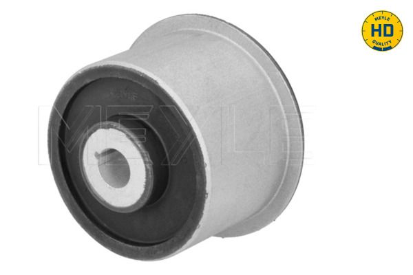 Mounting, control/trailing arm-main