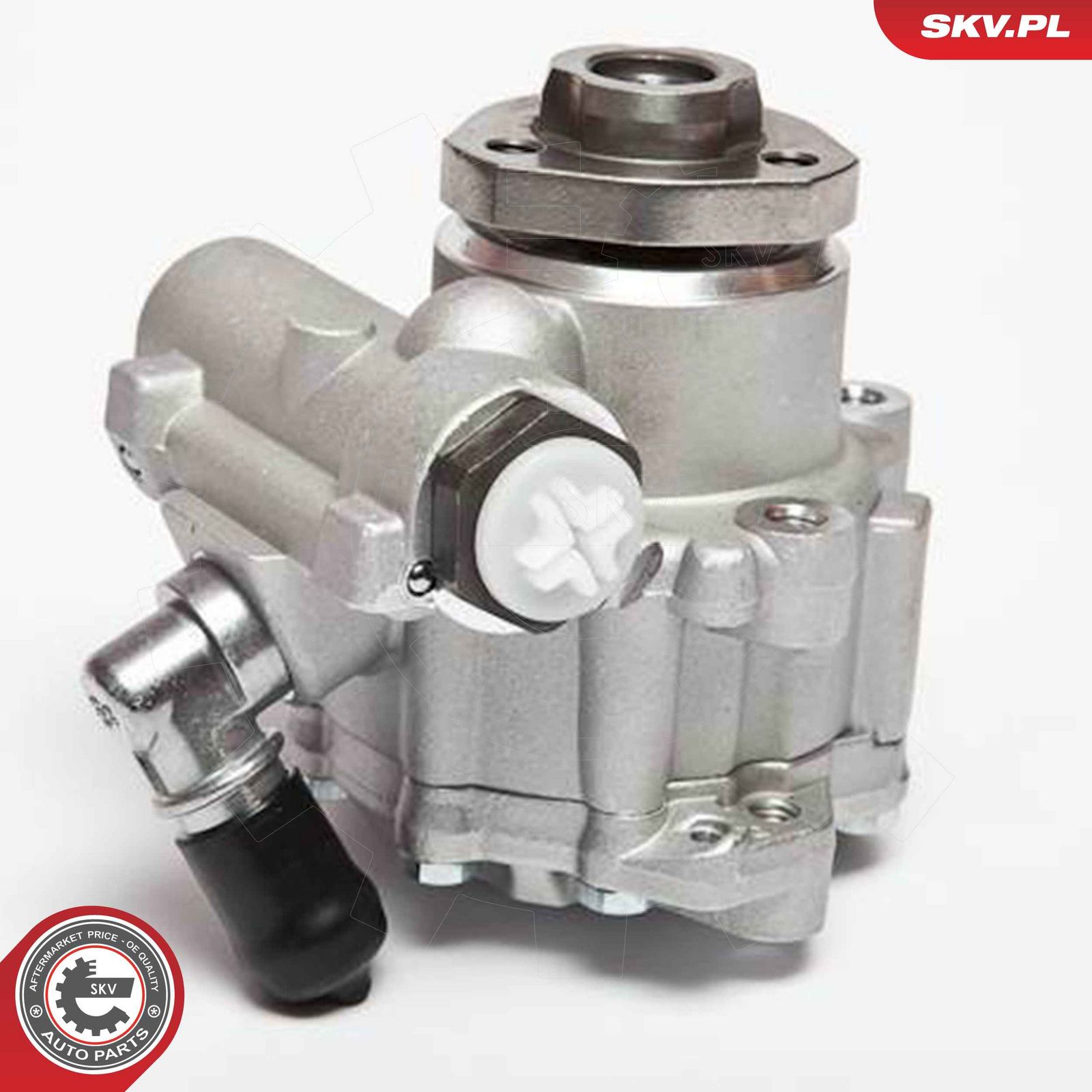 ESEN SKV 10SKV018 Hydraulic pump, steering