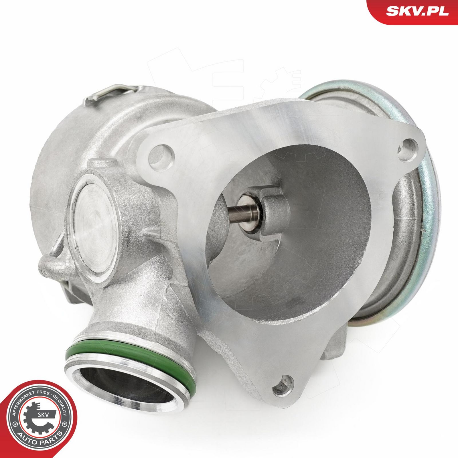 EGR Valve-4