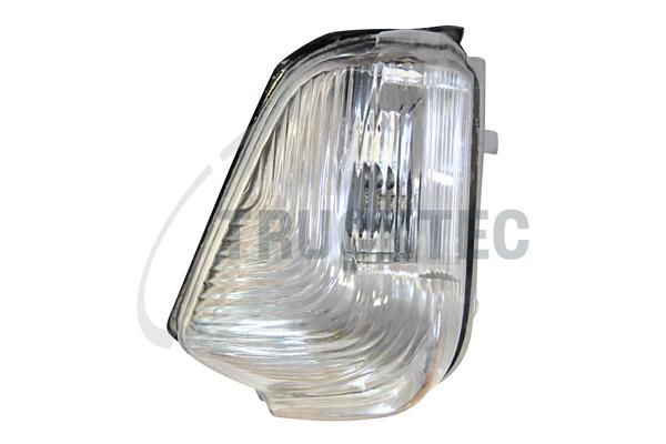 TRUCKTEC AUTOMOTIVE 02.58.363 Housing, direction indicator