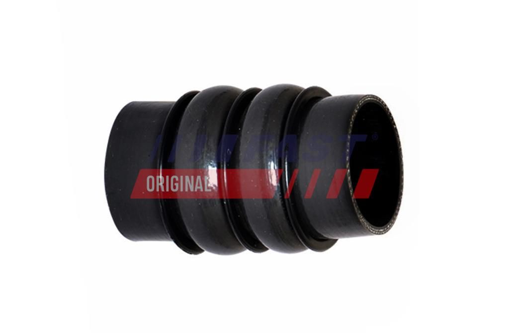 FAST FT61946 Charge air hose