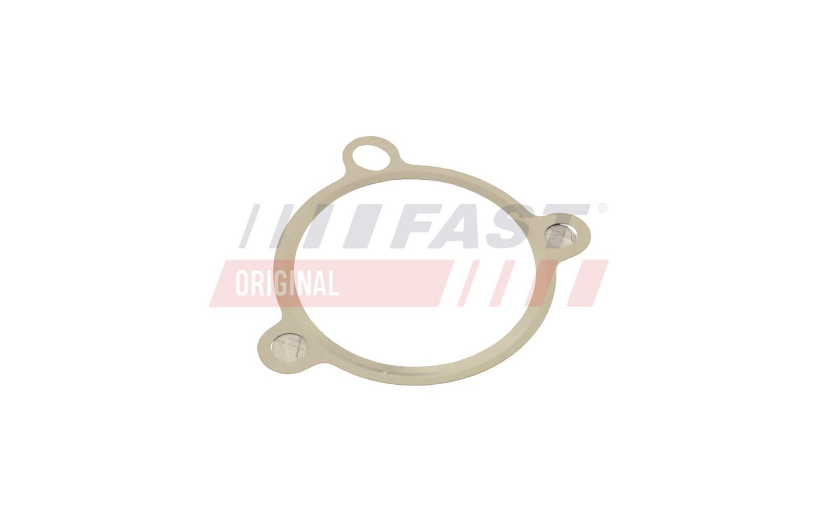 FAST FT50605 Gasket, egr valve