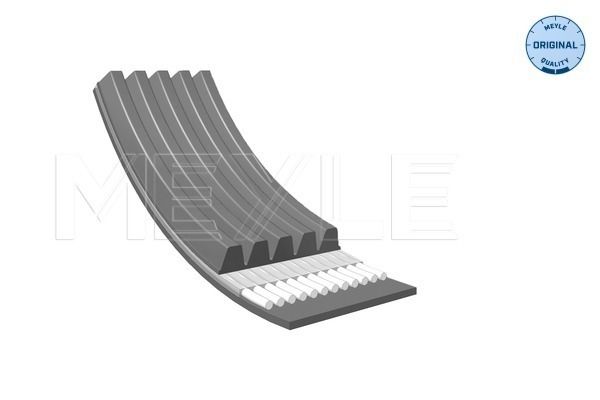 V-ribbed Belt-1