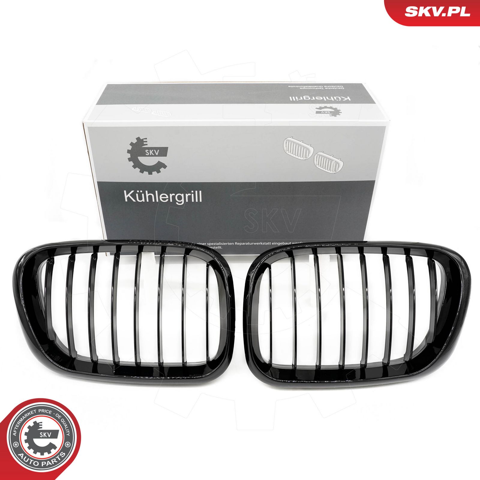 Radiator Grille-10