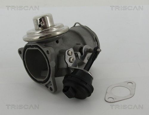 TRISCAN 8813 29036 Egr valve