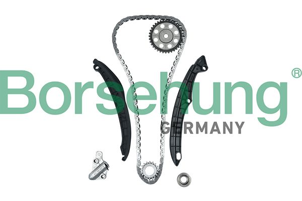 BORSEHUNG B16299 Timing chain kit
