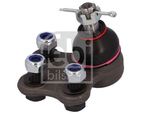 Šarnyras / girgždukas