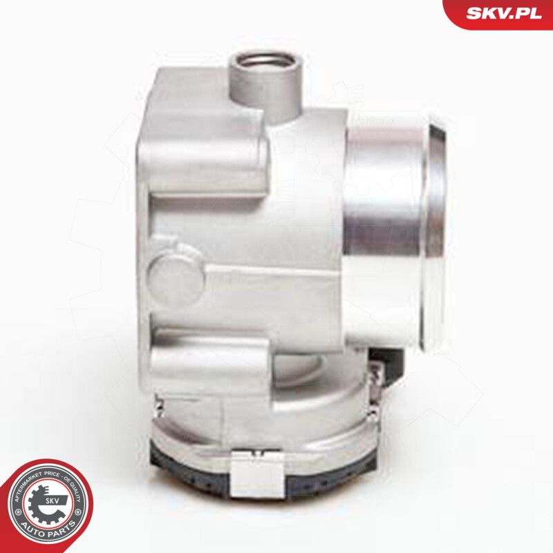 Throttle Body-2