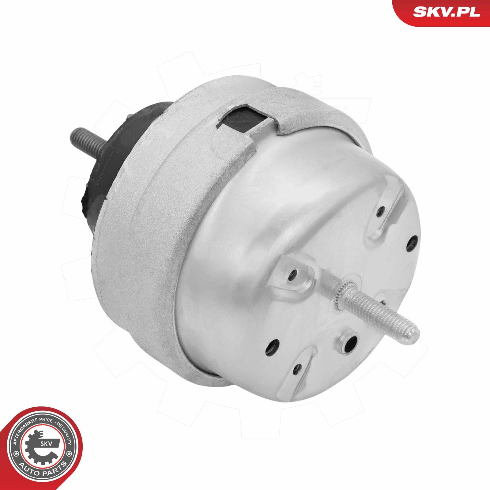 ESEN SKV 75SKV350 Mounting, engine