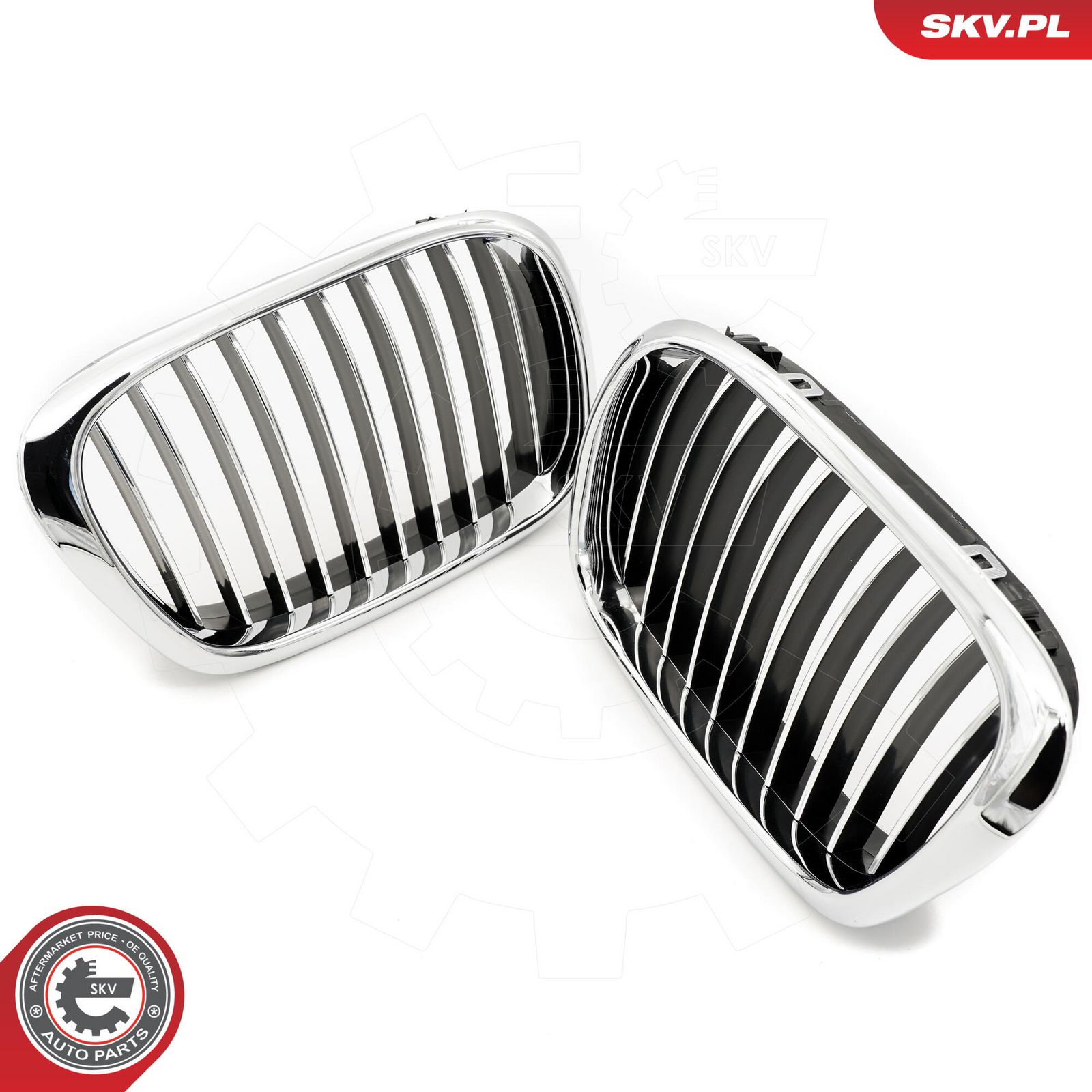 Radiator Grille-2