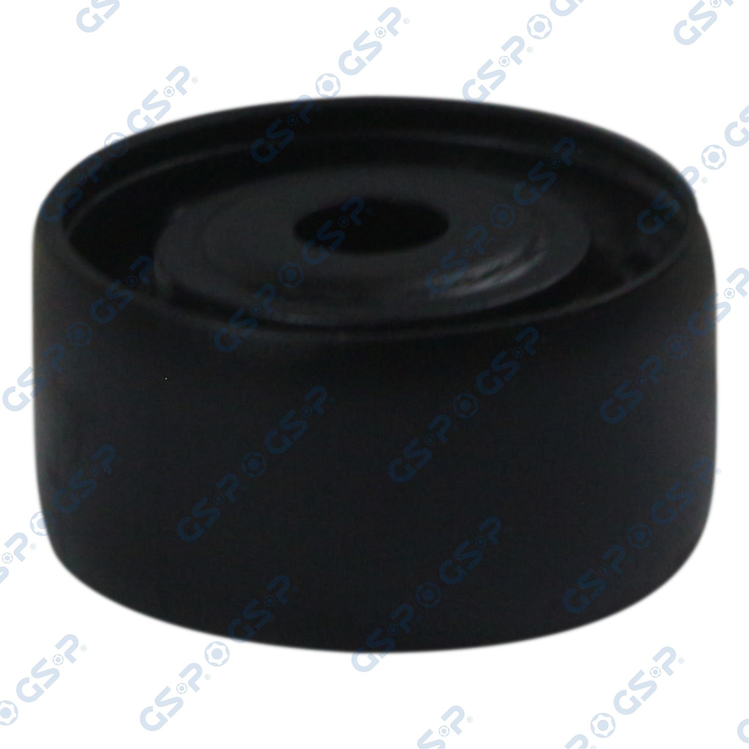 GSP 513321 Mounting, differential
