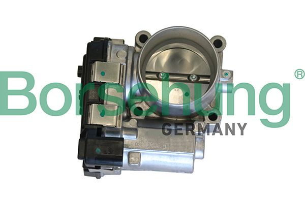 BORSEHUNG B19290 Throttle body