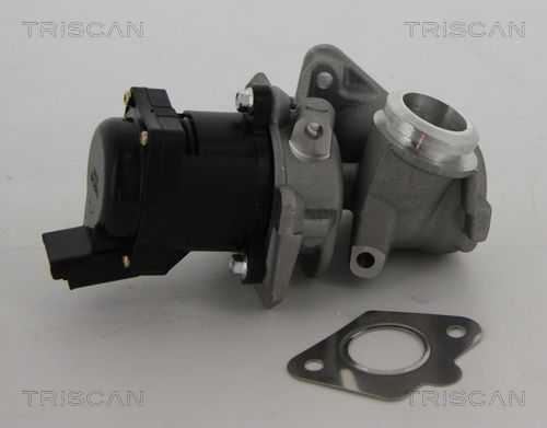 TRISCAN 8813 10010 Egr valve