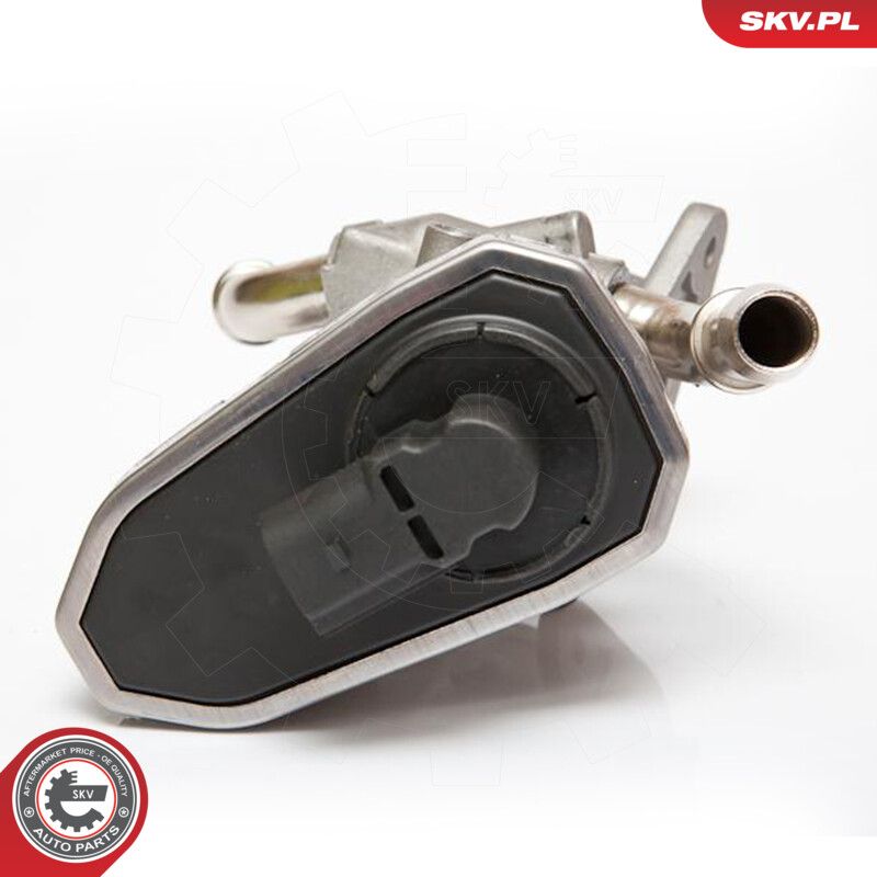 EGR Valve-3