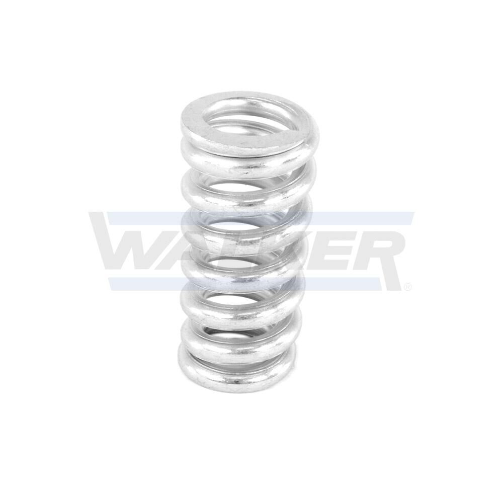 Spring, muffler-3