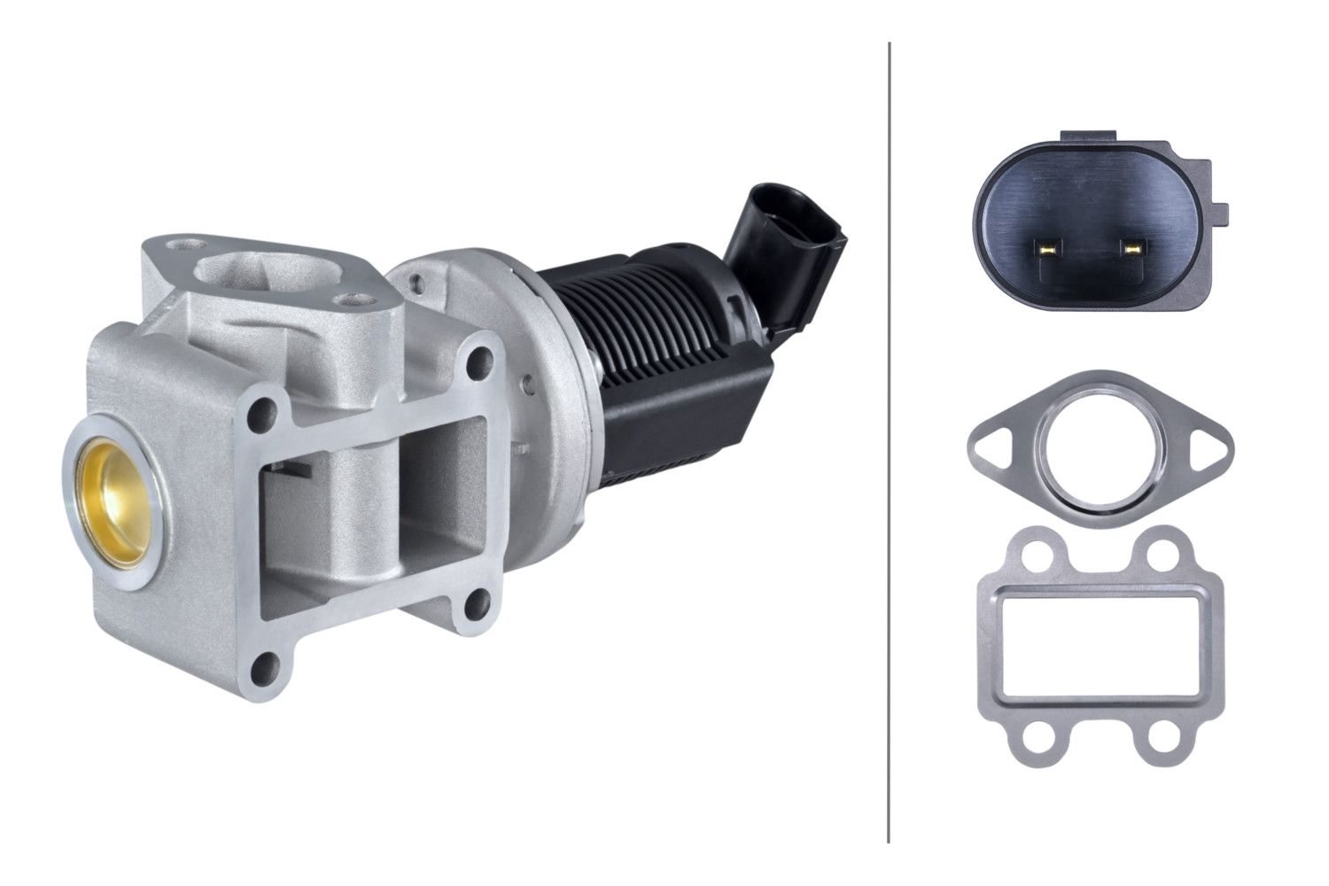 EGR Valve