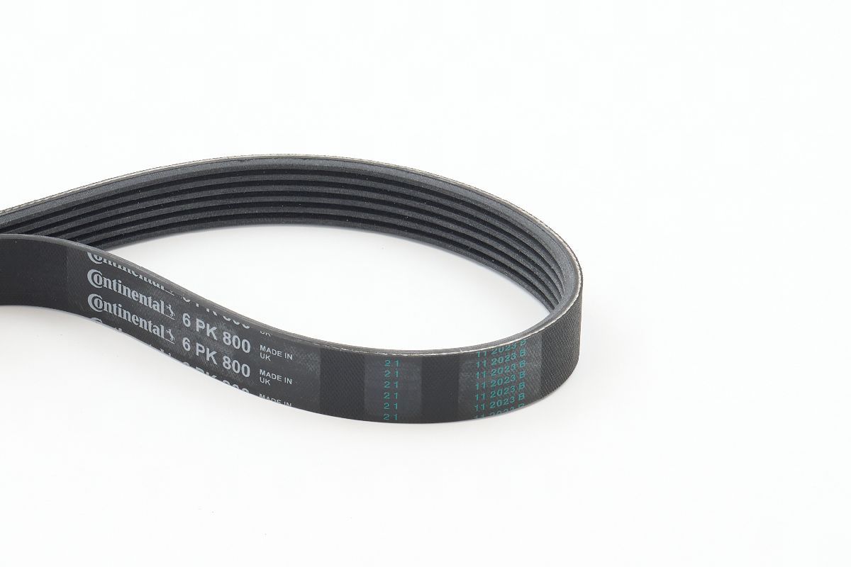 CONTINENTAL CTAM 6PK800 V-ribbed belt